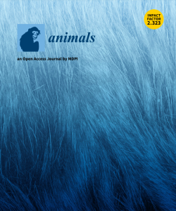Iron Animal su Animals